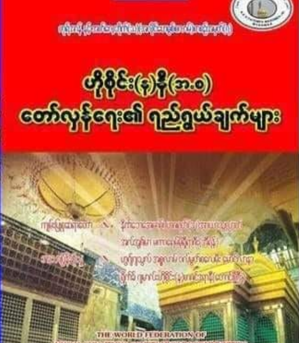 ဟိုစိုင်း(န)နီ(အ.စ) တော်လှန်ရေး၏ရည်ရွယ်ချက်များ